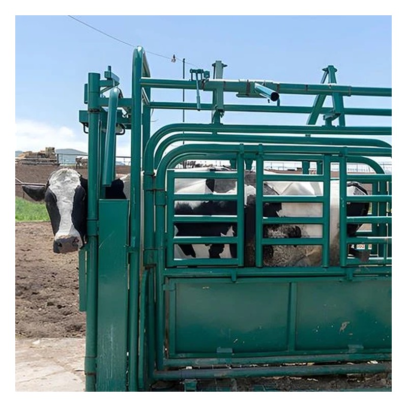 Manual Cattle Squeeze Chute